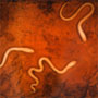 Origins of Life
